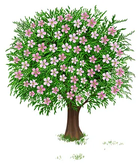 透明大树png素材