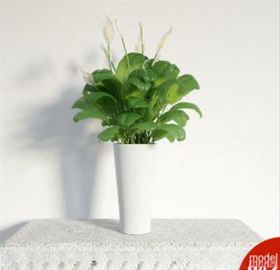 3DMAX模型植物花卉景观