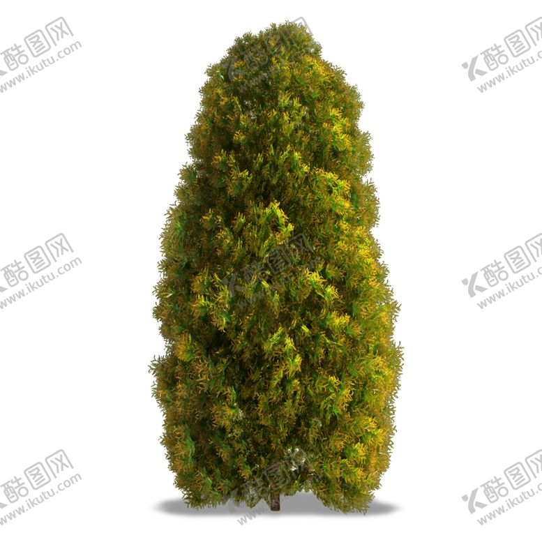 编号：43698611020150083516【酷图网】源文件下载-水杉