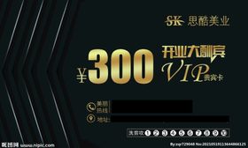 编号：42068509231412325209【酷图网】源文件下载-VIP贵宾卡