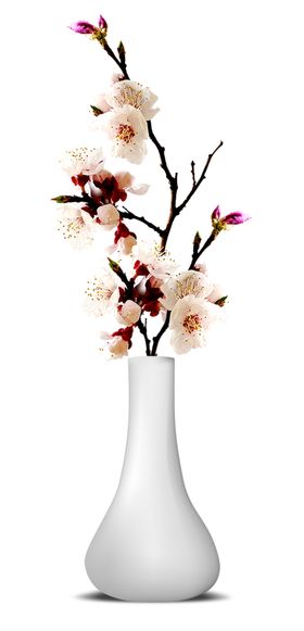 花瓶