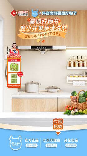 暑期果蔬清洗促销直播间海报