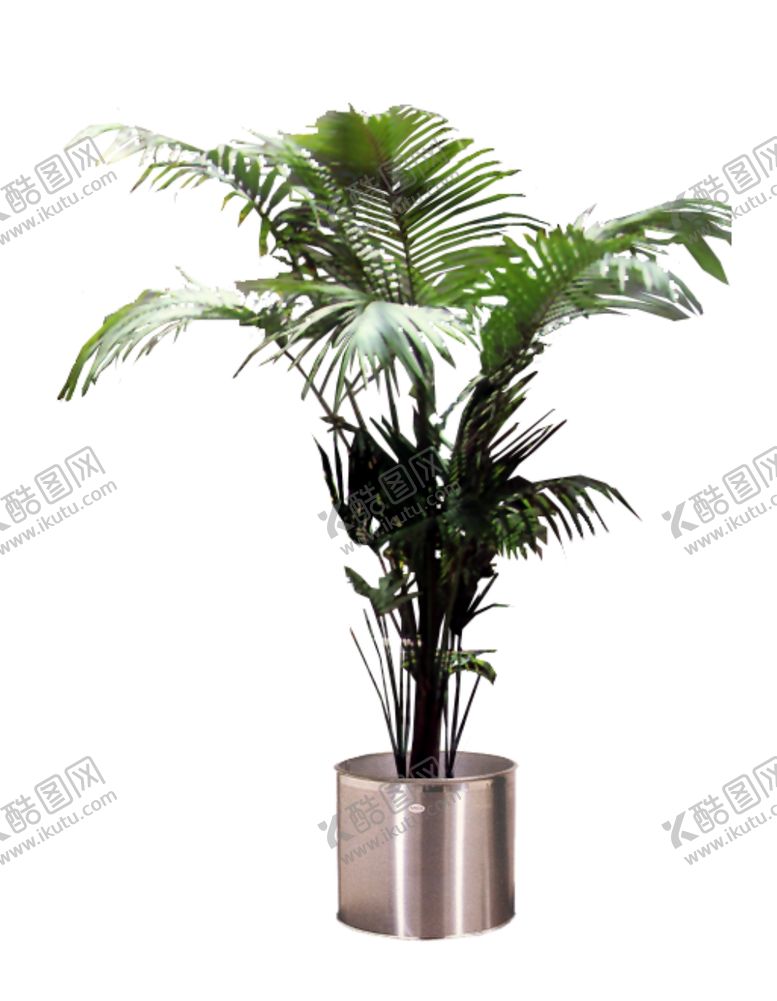 编号：51493607040425174640【酷图网】源文件下载-盆景