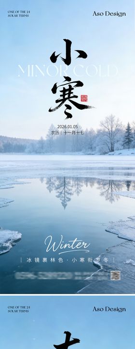 地产小寒大寒节气系列海报
