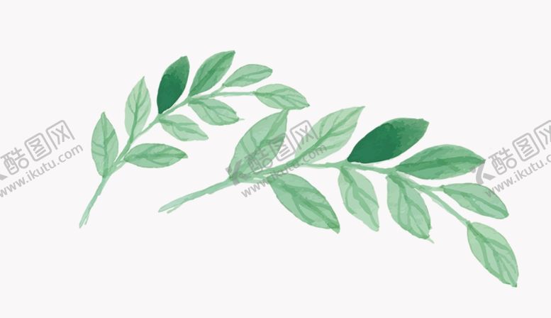 编号：65002810060246121945【酷图网】源文件下载-叶子