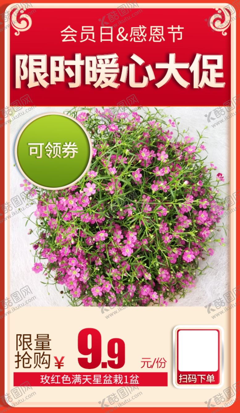 编号：20053204242355134355【酷图网】源文件下载-玫红色满天星盆栽加档秒杀会员日