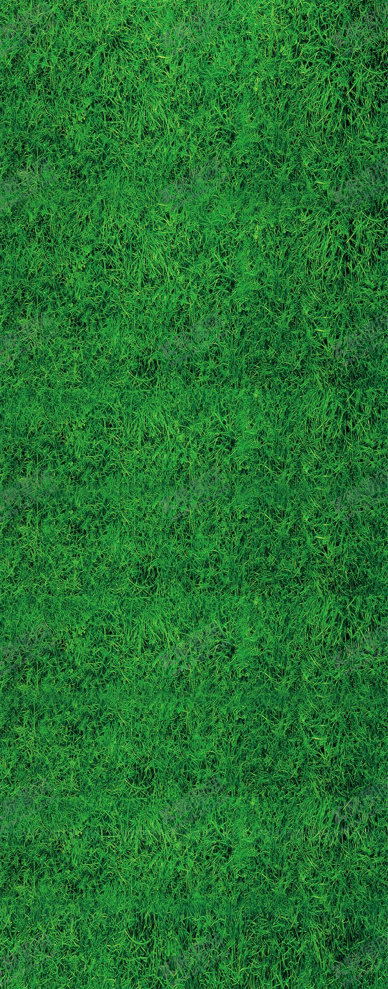 编号：84227310140411077173【酷图网】源文件下载-绿色背景