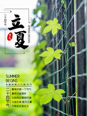 立夏海报节日宣传微信至