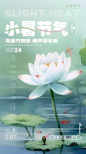 小暑节气海报唯美清新荷花