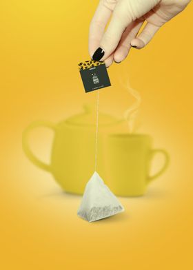 咖啡茶罐样机