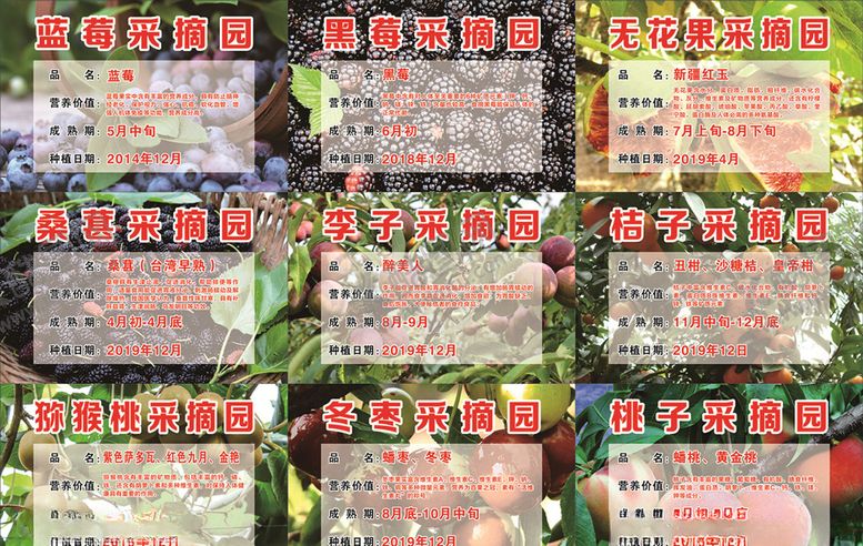 编号：21750007140751428542【酷图网】源文件下载-果园采摘