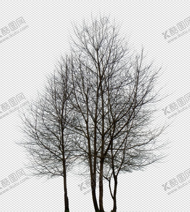编号：24314806270120532007【酷图网】源文件下载-透明底植物