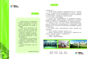 画册版式设计科技广告蓝色
