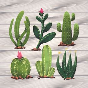 仙人掌植物印花图片