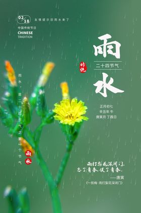 雨水海报手机节气24节气