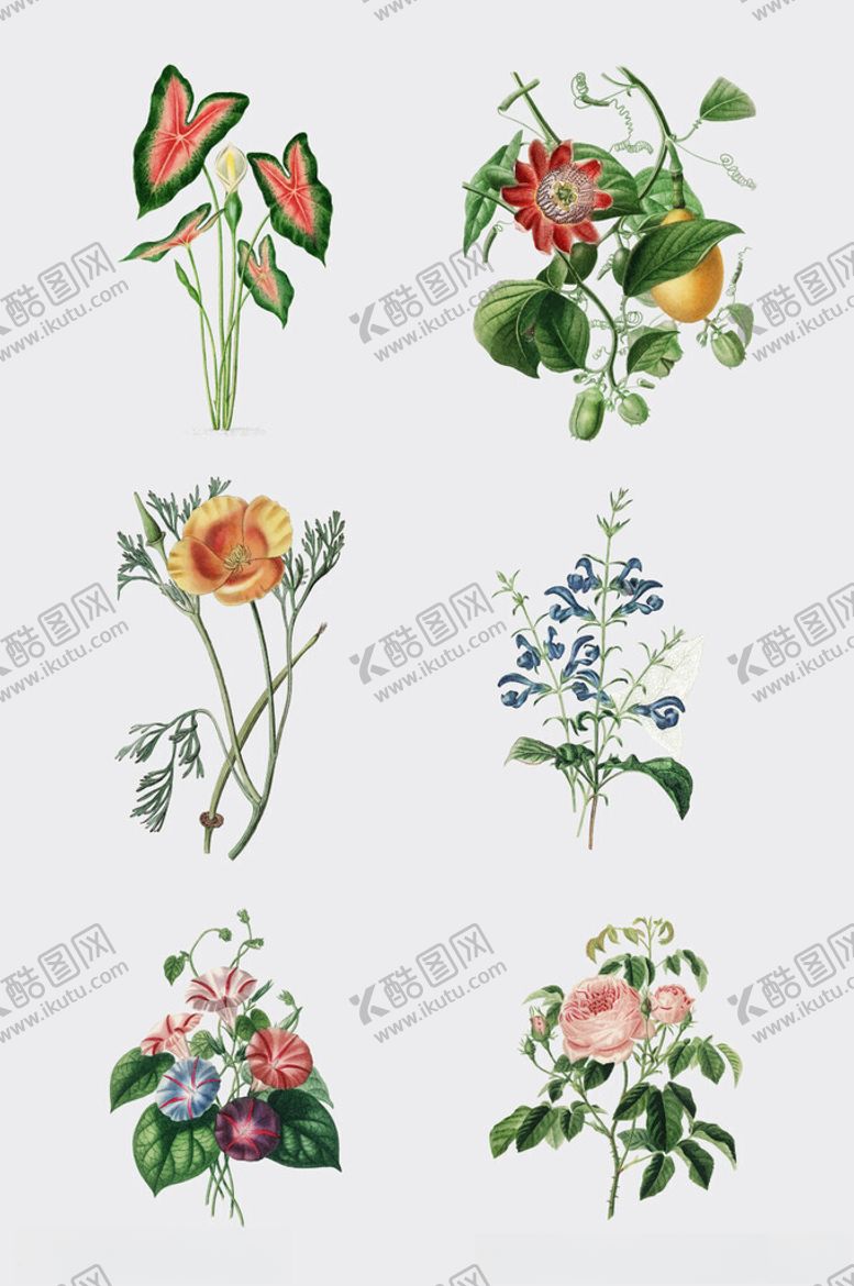 编号：17351402270432182658【酷图网】源文件下载-手绘水彩绿植插画元素