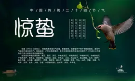 惊蛰节气广告中国传统中国风