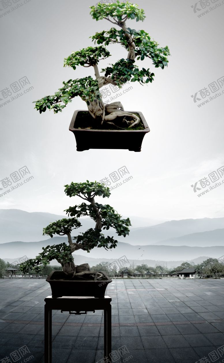编号：30356810250310144384【酷图网】源文件下载-盆景