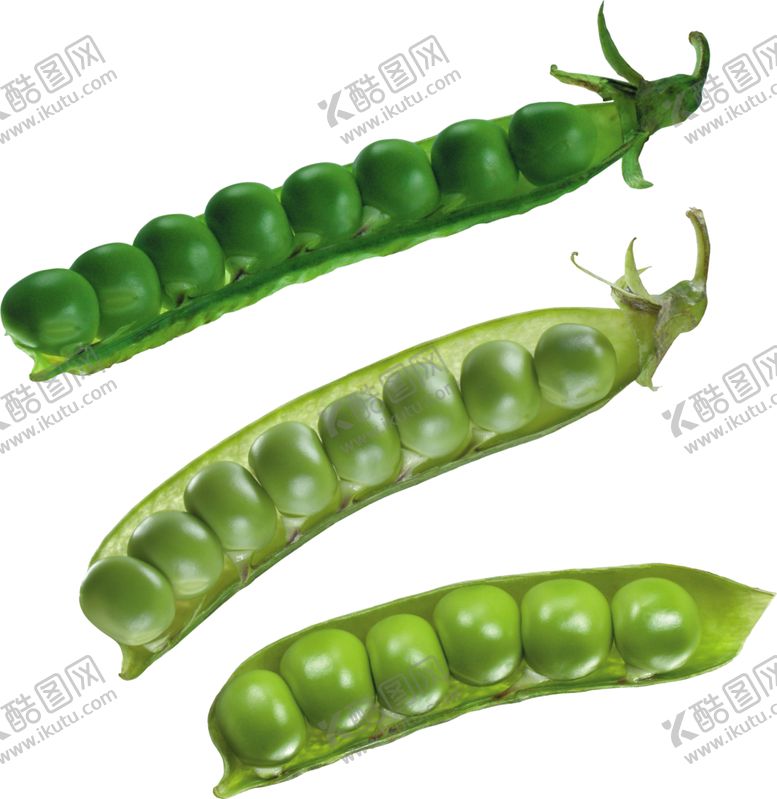 编号：86751505131935004827【酷图网】源文件下载-豌豆