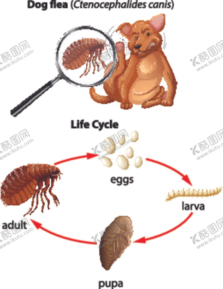 编号：16454705031152206681【酷图网】源文件下载-卡通昆虫