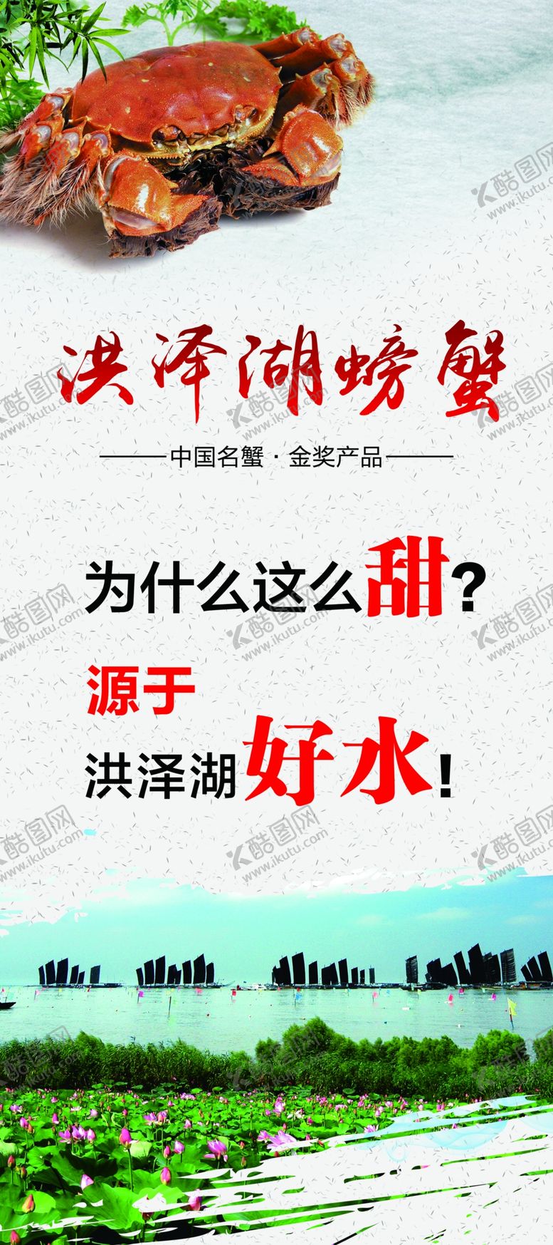 编号：67153710121321047968【酷图网】源文件下载-洪泽螃蟹展架