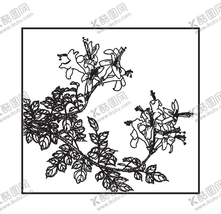 编号：88440810261529445879【酷图网】源文件下载-凌霄花