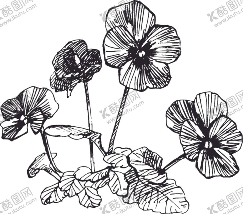 编号：17107410040023084275【酷图网】源文件下载-素描鲜花