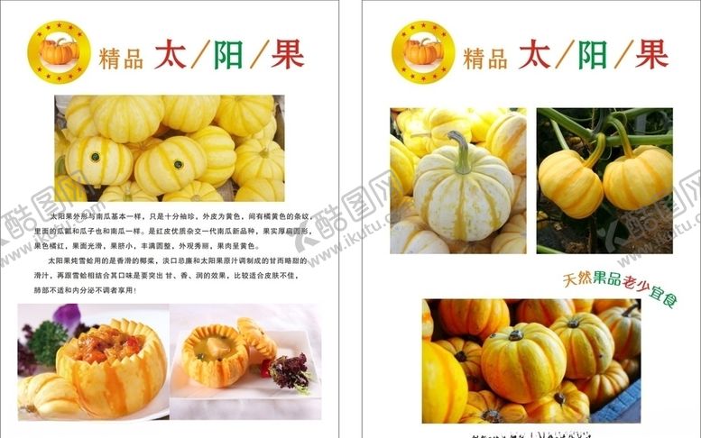 编号：80629107022301167259【酷图网】源文件下载-太阳果单张