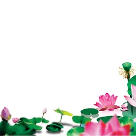 荷花素材立夏叶插画古风夏天背景