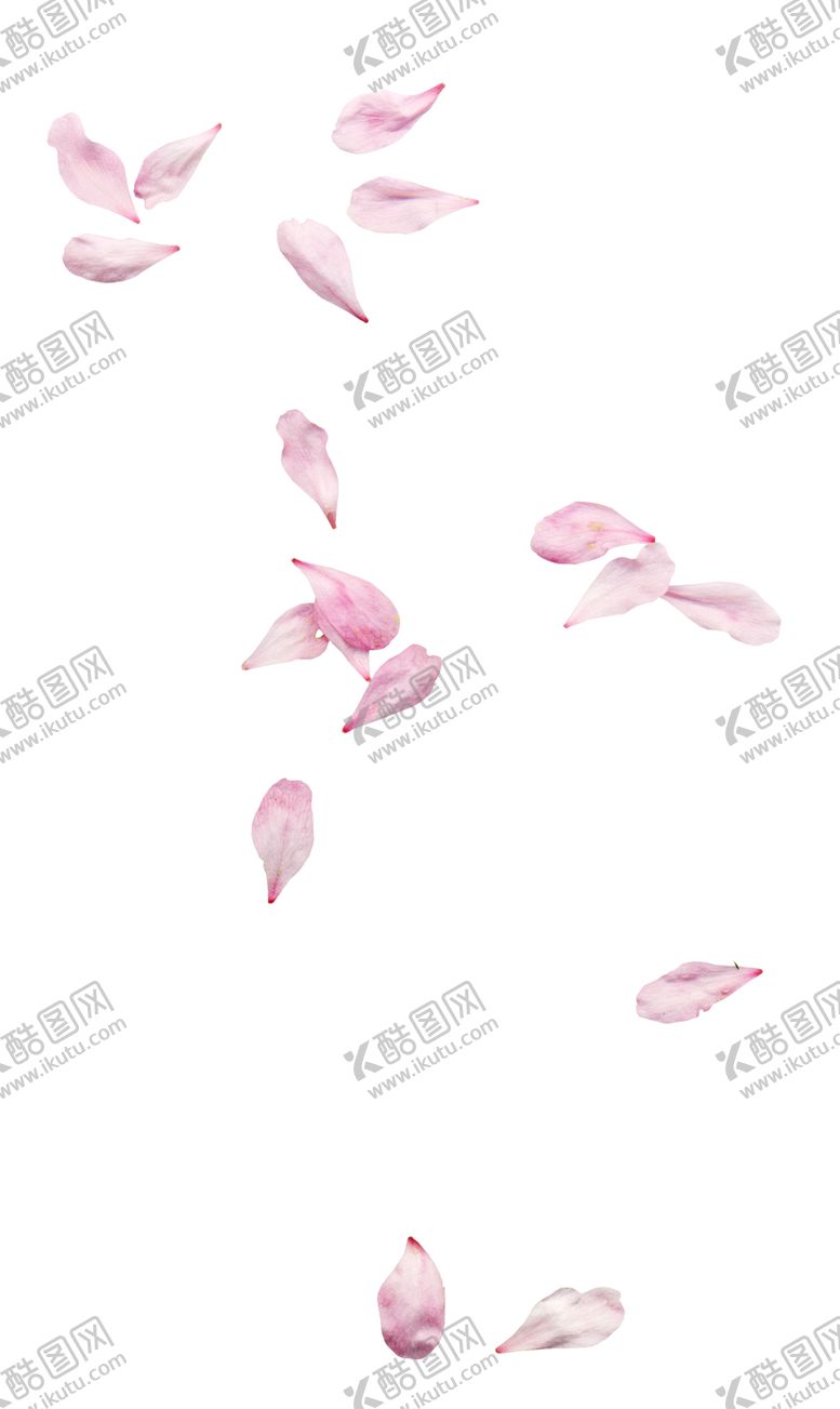 编号：14562105132140336327【酷图网】源文件下载-浪漫素材