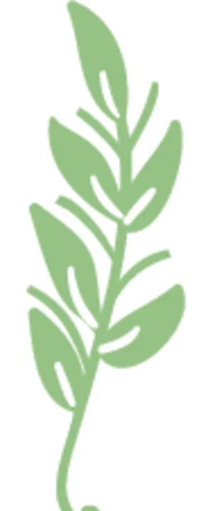 清新绿植