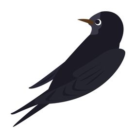 免扣燕子素材图片
