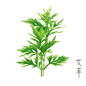 艾草腰椎贴