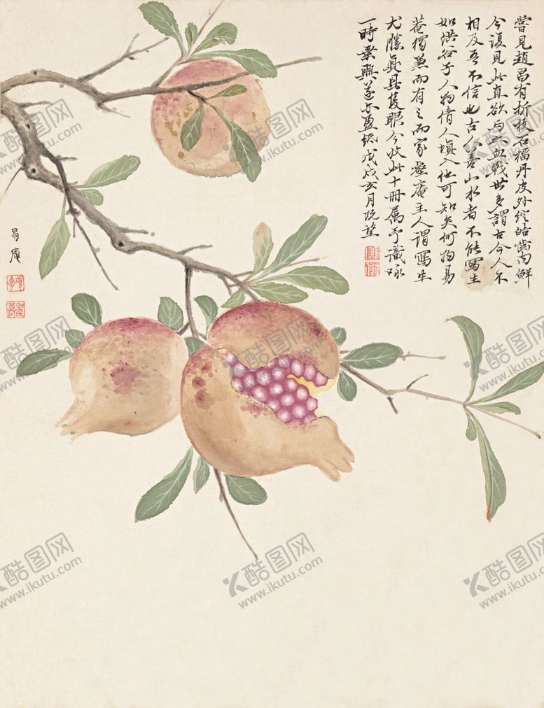 编号：42168809241121268430【酷图网】源文件下载-精美工笔花卉图