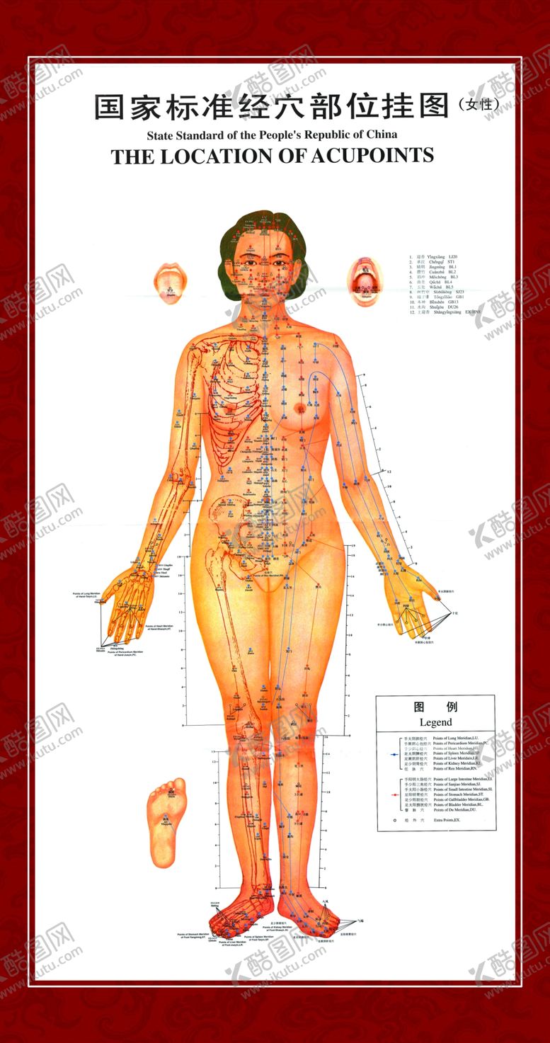 编号：38047010052217193948【酷图网】源文件下载-中医理疗