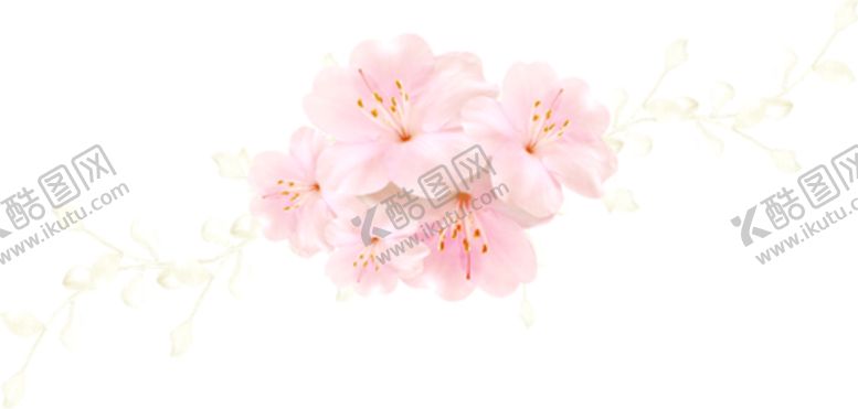 编号：28135402141050282652【酷图网】源文件下载- 手绘粉色樱花免扣素材图片 