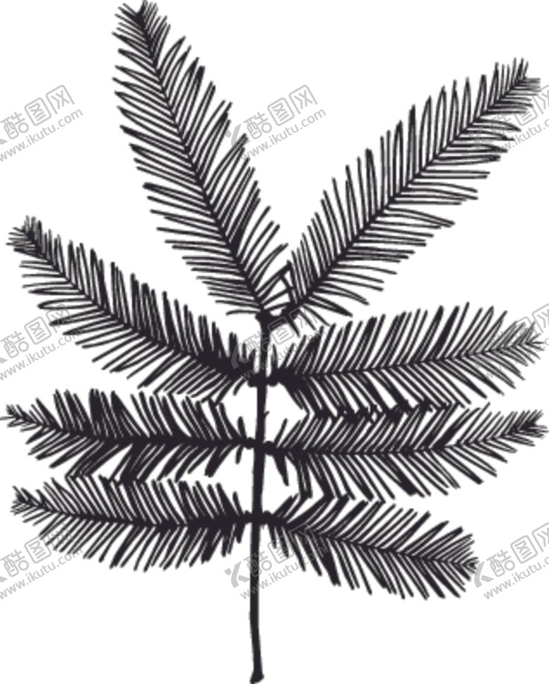 编号：39801907081536495480【酷图网】源文件下载-植物系列树叶