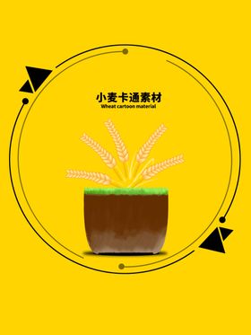 黄色小麦啤酒素材海报