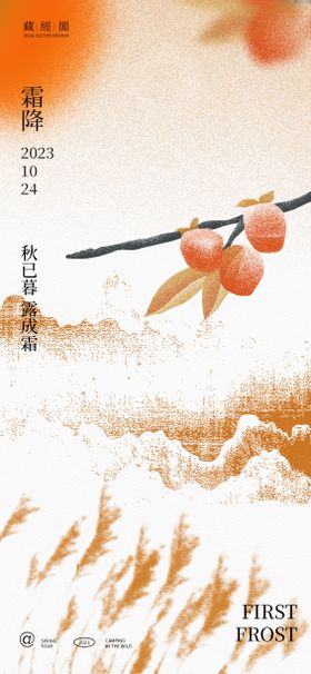 霜降节气柿子插画手绘海报