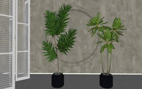 盆栽植物模型