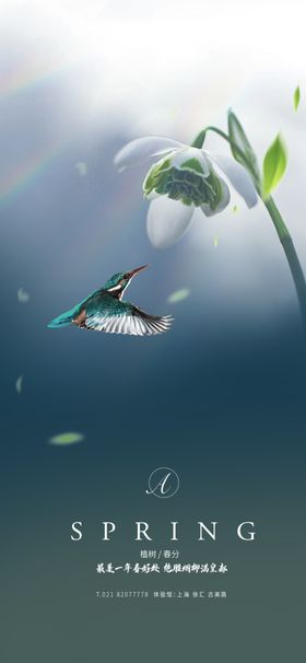 春分海报地产24节气二十四节气房地产