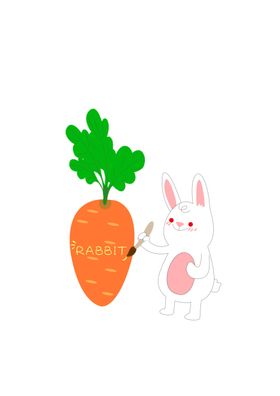 RABBIT 兔子