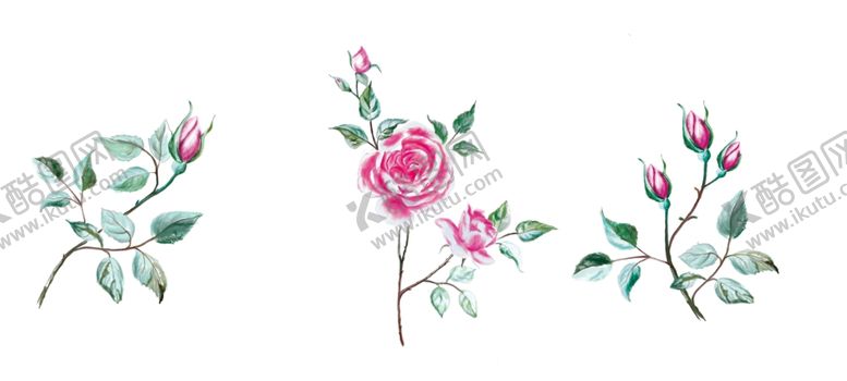 编号：65612404200455158126【酷图网】源文件下载-玫瑰花玫瑰花骨朵