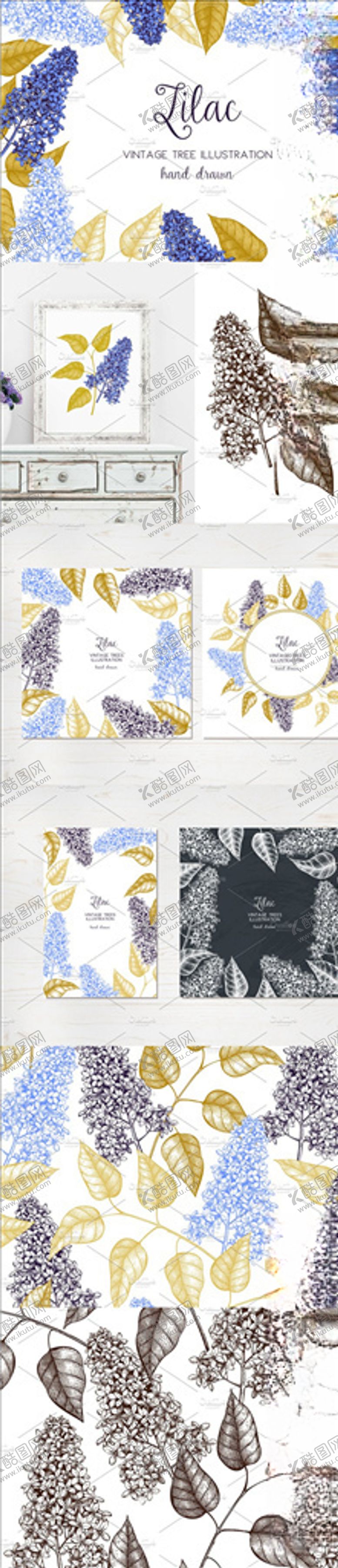 编号：27088509200340466338【酷图网】源文件下载-矢量丁香插图集