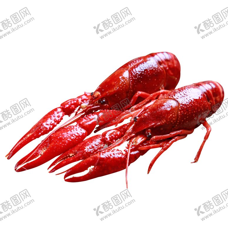 编号：39136304220539535798【酷图网】源文件下载-手绘小龙虾