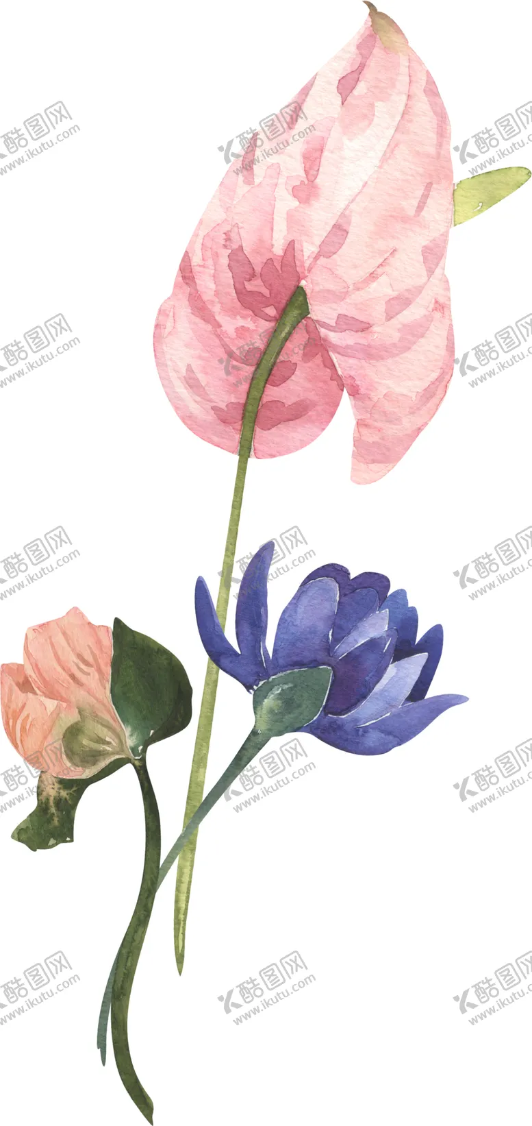 编号：33454512261510106974【酷图网】源文件下载-花素材