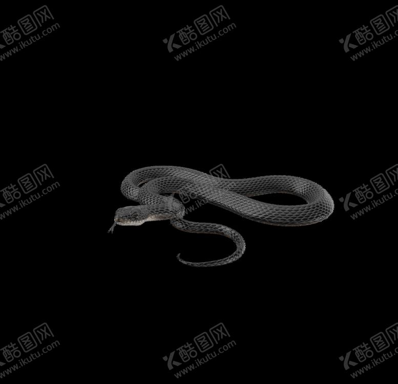 编号：77673207132032311008【酷图网】源文件下载-巫师素材