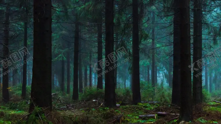 编号：92302209091237391633【酷图网】源文件下载-森林