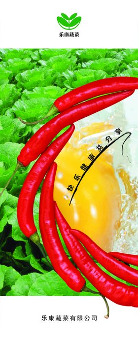 创意蔬菜果蔬文案宣传海报