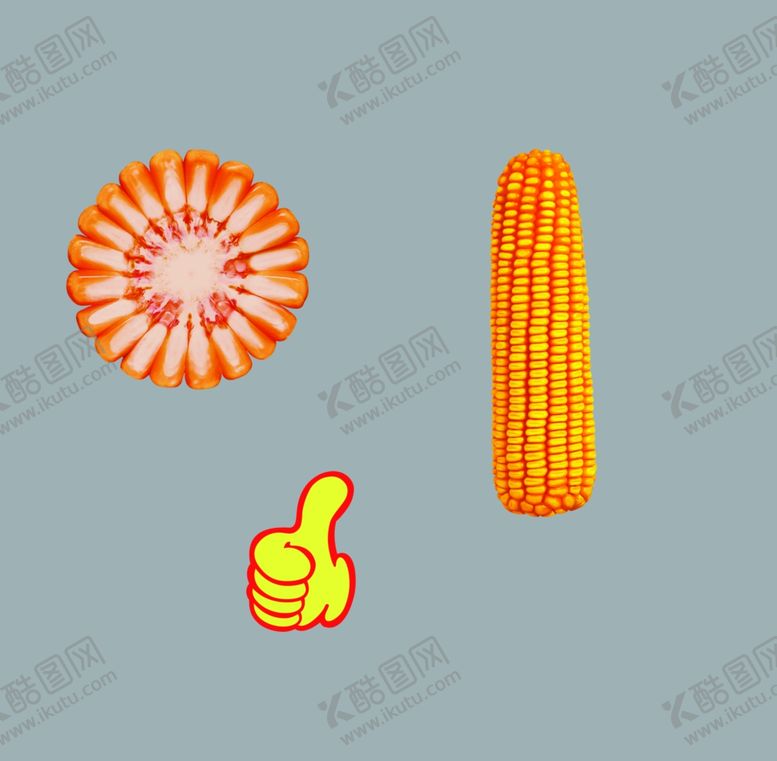 编号：59922012080516465048【酷图网】源文件下载-玉米素材
